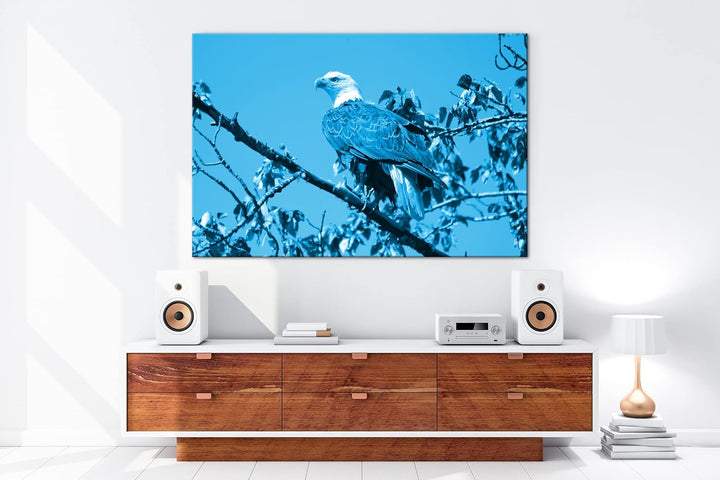 deyoli Atemberaubender Weisskopfseeadler Format: 100x70 Effekt: Monocrome Blau als Leinwandbild, Mot