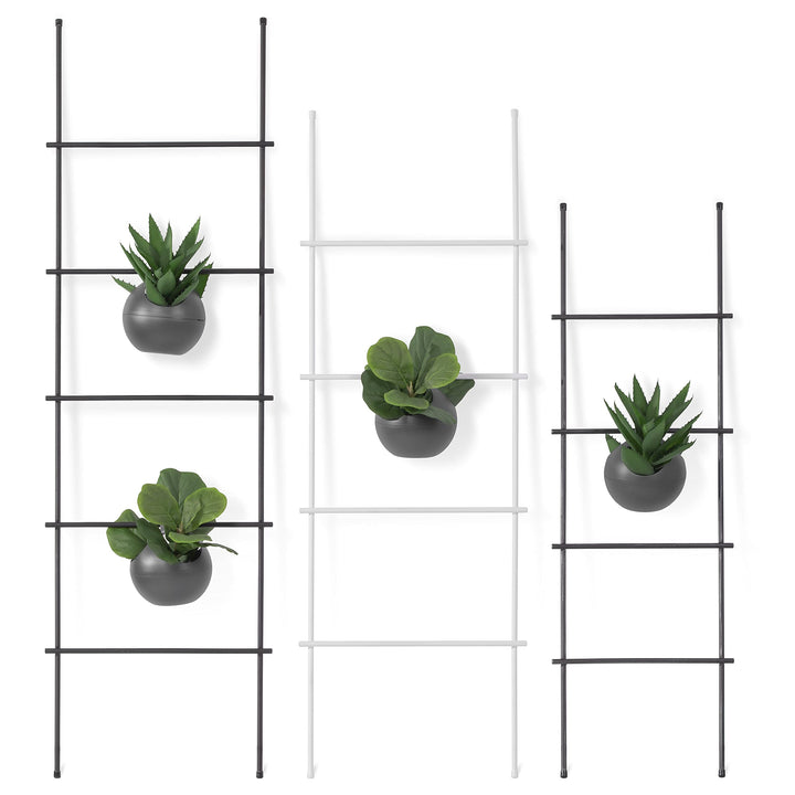 LAMO Manufaktur Handtuchleiter Handtuchhalter Zeitschriftenhalter Loft, 150x50 cm, Rohstahl mit Klar