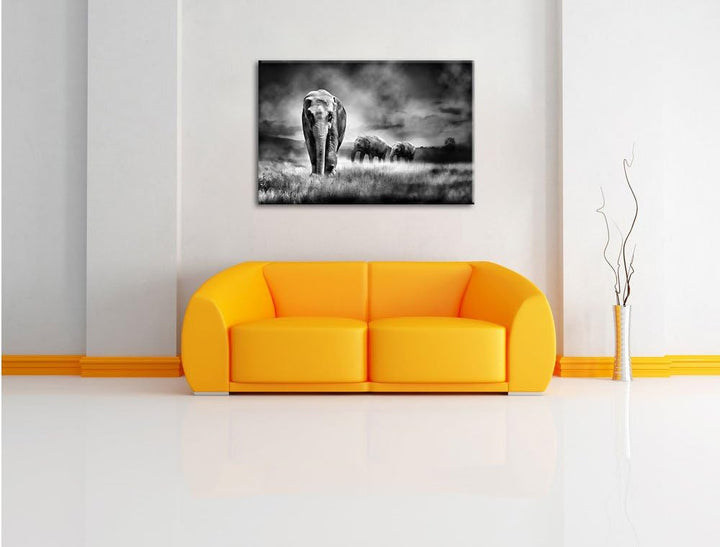 Pixxprint Monocrome, Prächtiger Elefanten in Steppe, Format: 100x70 auf Leinwand, 100x70