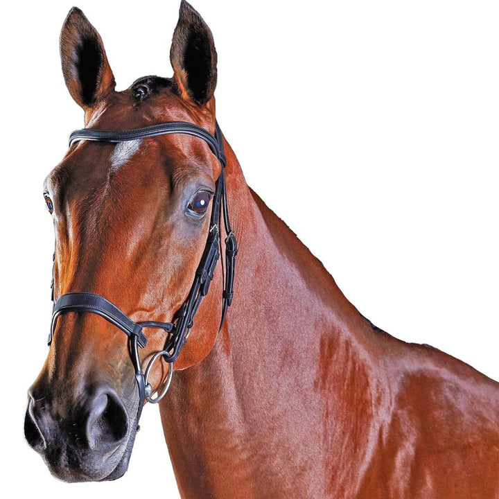 Collegiate ComFiTec Training Snaffle Bridle Full Size Schwarz, Full Size Schwarz