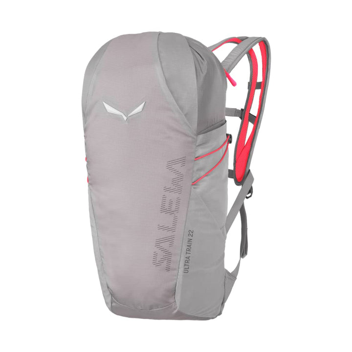 Salewa Unisex Ultra Train 22l Backpack Backpack (1er Pack) Einheitsgrösse Alloy, Einheitsgrösse Allo