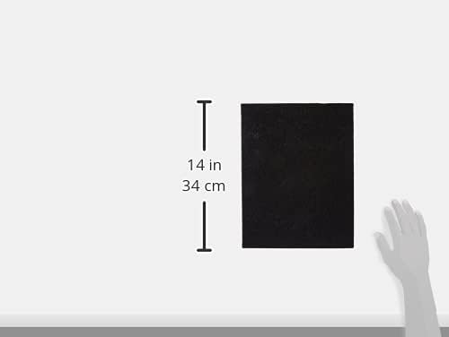 Fellowes Kohlefilter für Luftreiniger AeraMax DX55 und AeraMax DB55, Ersatzfilter, Karbonfilter, Car