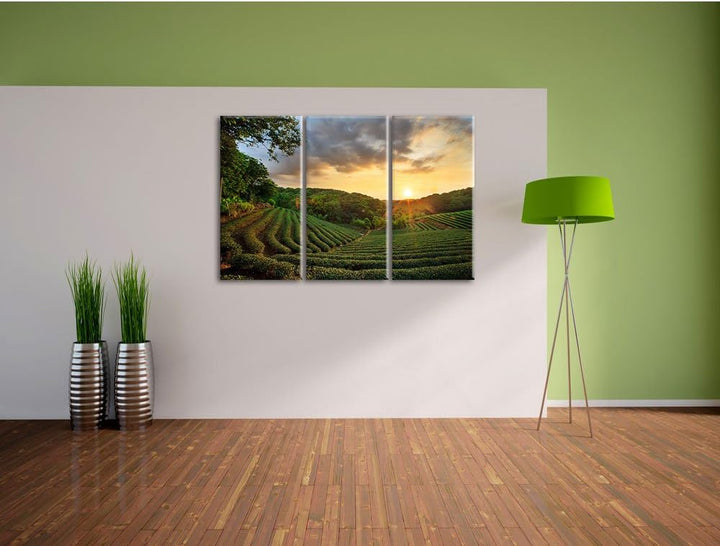 Pixxprint Teeplantage bei Sonnenuntergang als Leinwandbild/Grösse: 3 Teilig (120x80 cm) cm/Wandbild/