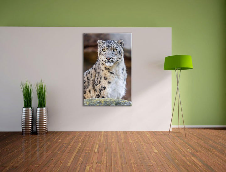 Pixxprint wachsame Schneeleopardin auf Leinwand, XXL riesige Bilder fertig gerahmt mit Keilrahmen, K
