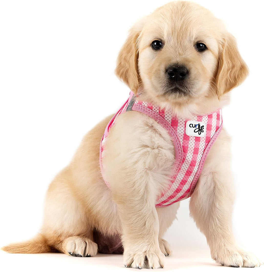 Vest Harness curli Clasp Air-Mesh Pink-Caro XS & Leash M, Pink-Caro XS