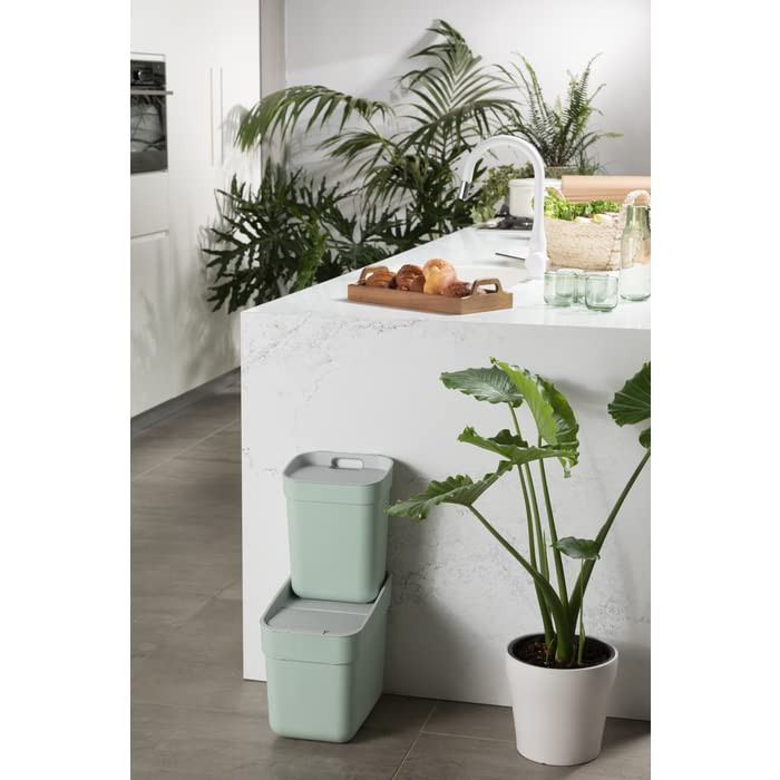 CURVER Mülleimer "Ready To Collect", 20 l, ideal unter der Spüle, mit Wandhalterung für Wand oder Tü