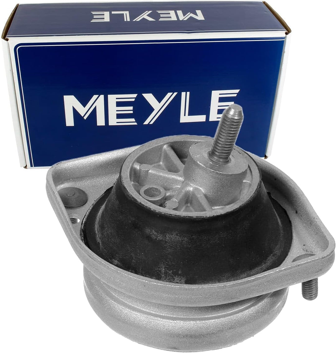 Meyle 300 221 1103 Lagerung, Motor