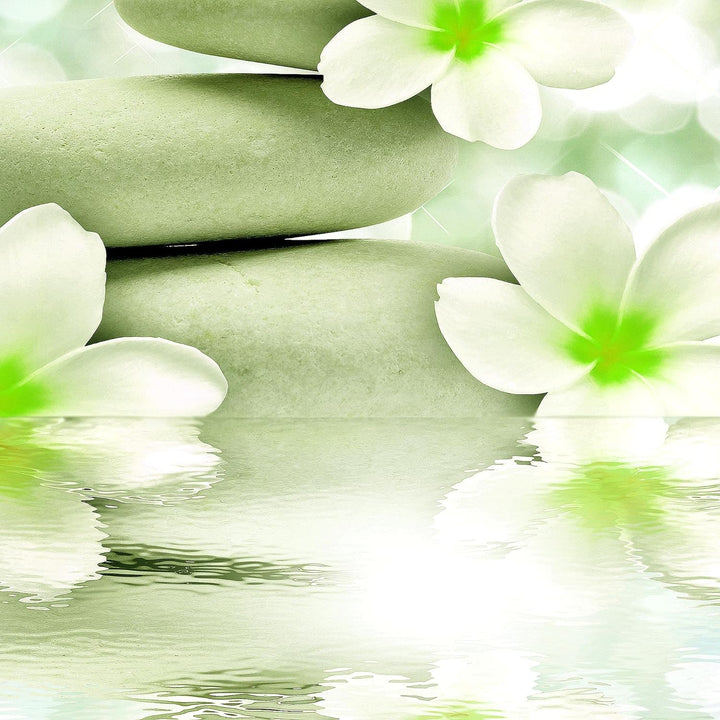 Runa Art Wandbilder Blumen Feng Shui 5 Teilig Bild auf Vlies Leinwand Deko Wohnzimmer Steine Zen Grü