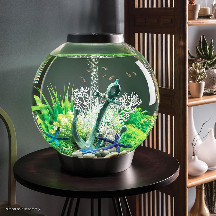 biOrb 72011 CLASSIC 60 LED schwarz - dekoratives Aquarium Komplett-Set mit Filter-System, LED-Beleuc