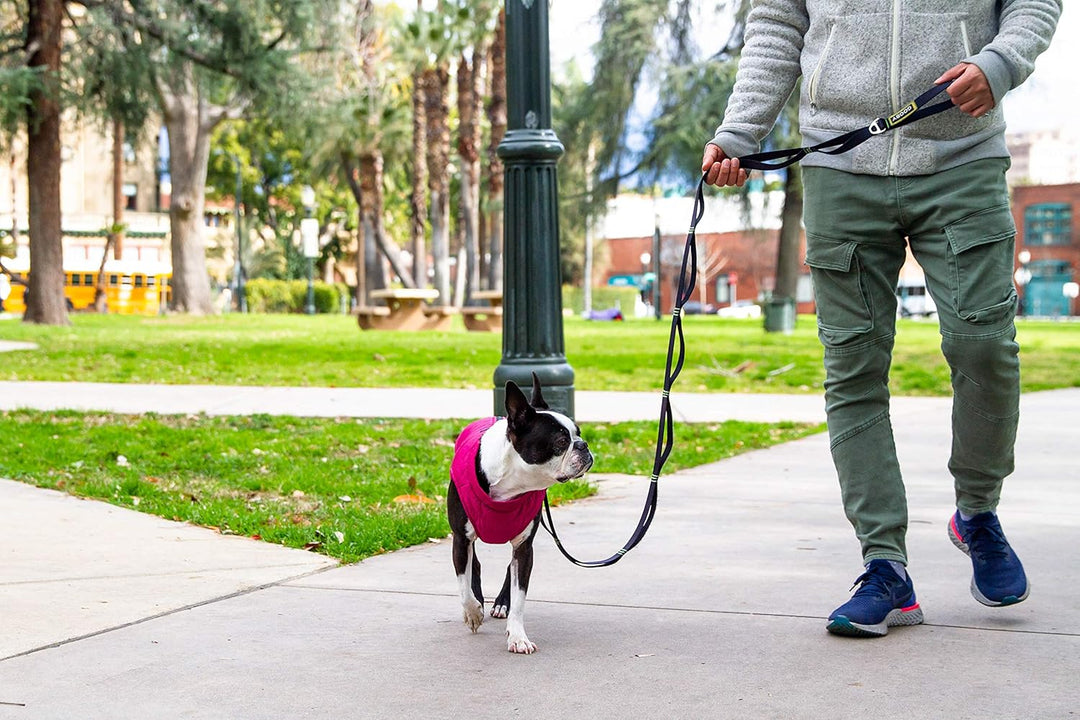 Gooby Puffer Hundeweste – Orange, XSmall – Ultra Dünn Wasserabweisend Reissverschluss Hundejacke mit