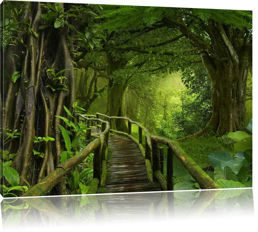 Pixxprint Weg durch den Tropenwald / 100x70cm Leinwandbild bespannt auf Holzrahmen/Wandbild Kunstdru