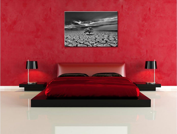 Pixxprint Monocrome, der Letzte Baum im ausgetrockneten Boden, Format: 100x70 auf Leinwand, XXL ries