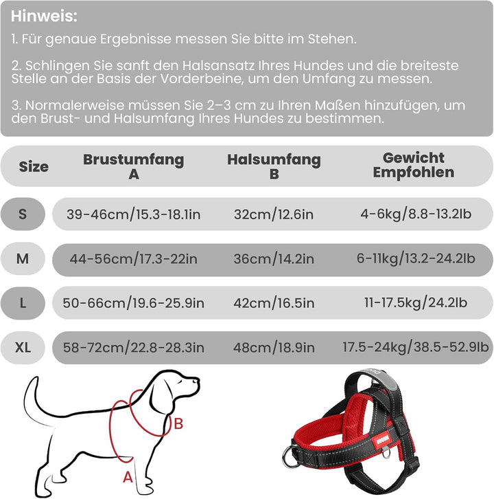 Hundegeschirr mit Leine für Mittelgrosse Kleine Hunde Welpen, Bunt Farbblock Geschirr, Mesh Gepolste