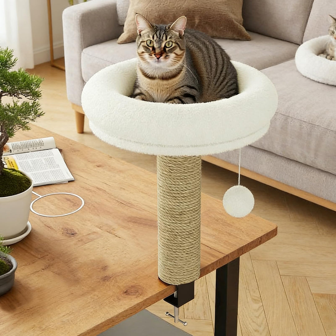 Katze Bett für Dest, Katzes Schreibtisch Bett mit Scritching Post, Platzsparende Katze Möbel, Perch