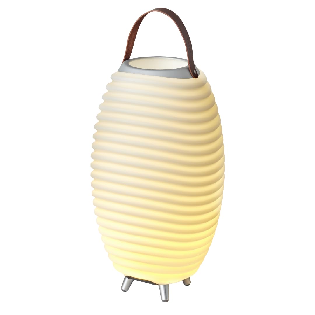 Kooduu Synergy 50 - Bluetooth Lautsprecher mit Lampe - Weinkühler-Funktion | 2L Kühlfach - Dimmer mi