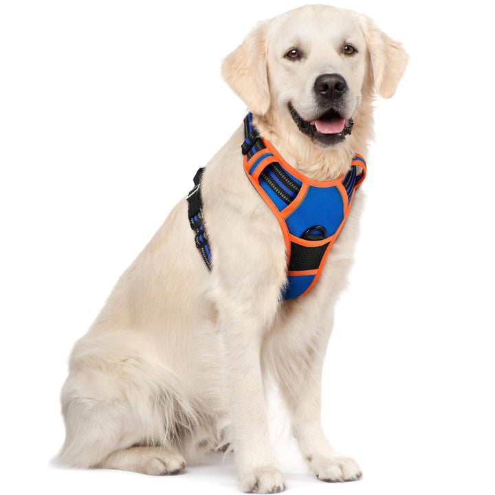 rabbitgoo Hundegeschirr Mittelgrosse Hunde, Anti Zug Geschirr mit Kontrolle, No Pull Verstellbar Hun