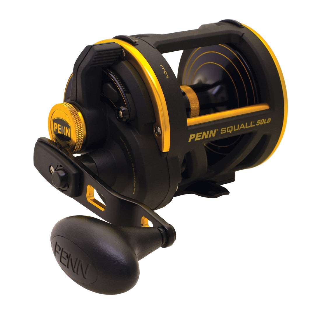 PENN Squall Level Wind Multirolle für Salzwasser Boots- oder Kajakangeln 30-Pound/360-Yard, 30-Pound