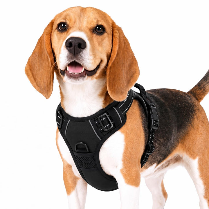 Funfox Hundegeschirr Mittelgrosse Hunde, Anti Zug Brustgeschirr Verstellbares Geschirr Hund, Antizie