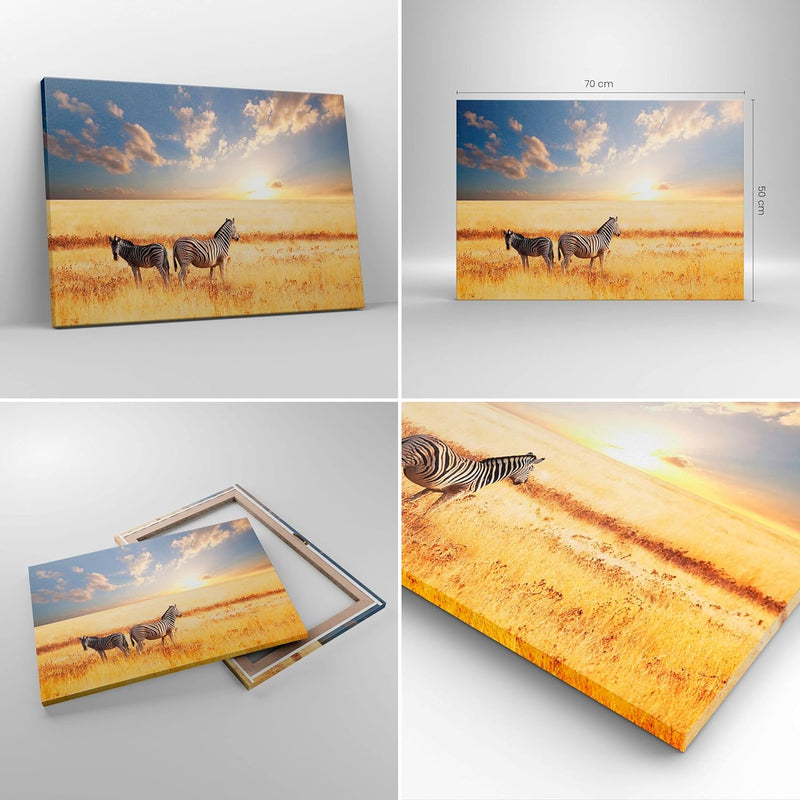 Bilder auf Leinwand Zebra tier gestreift savanne Leinwandbild 70x50cm Wandbilder Dekoration Wohnzimm