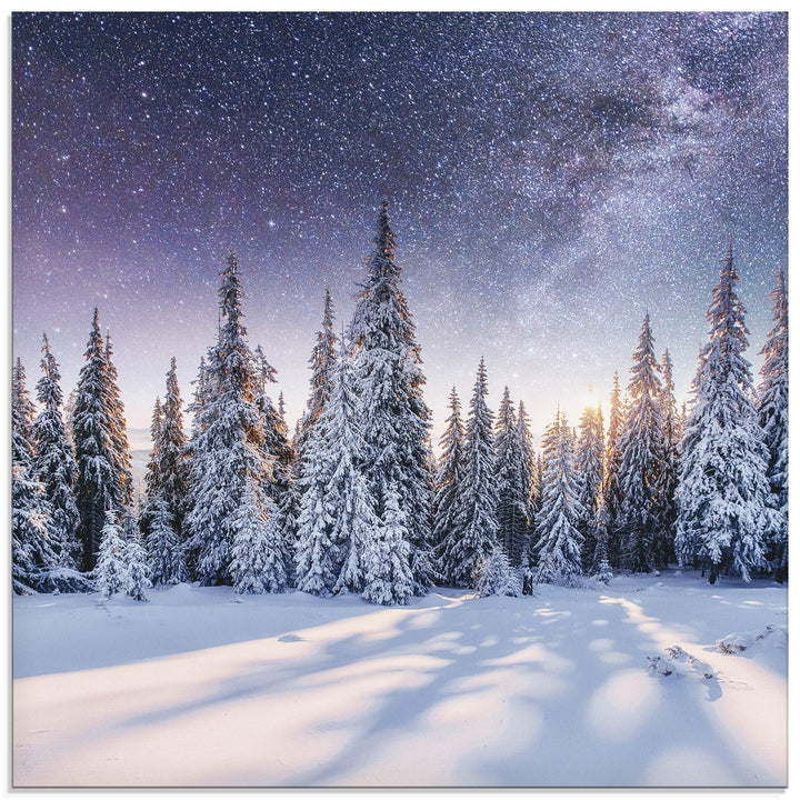 Glasbilder Wandbild Glas Bild einteilig 50x50 cm Quadratisch Winterlandschaft Wald Tannenbaum Natur