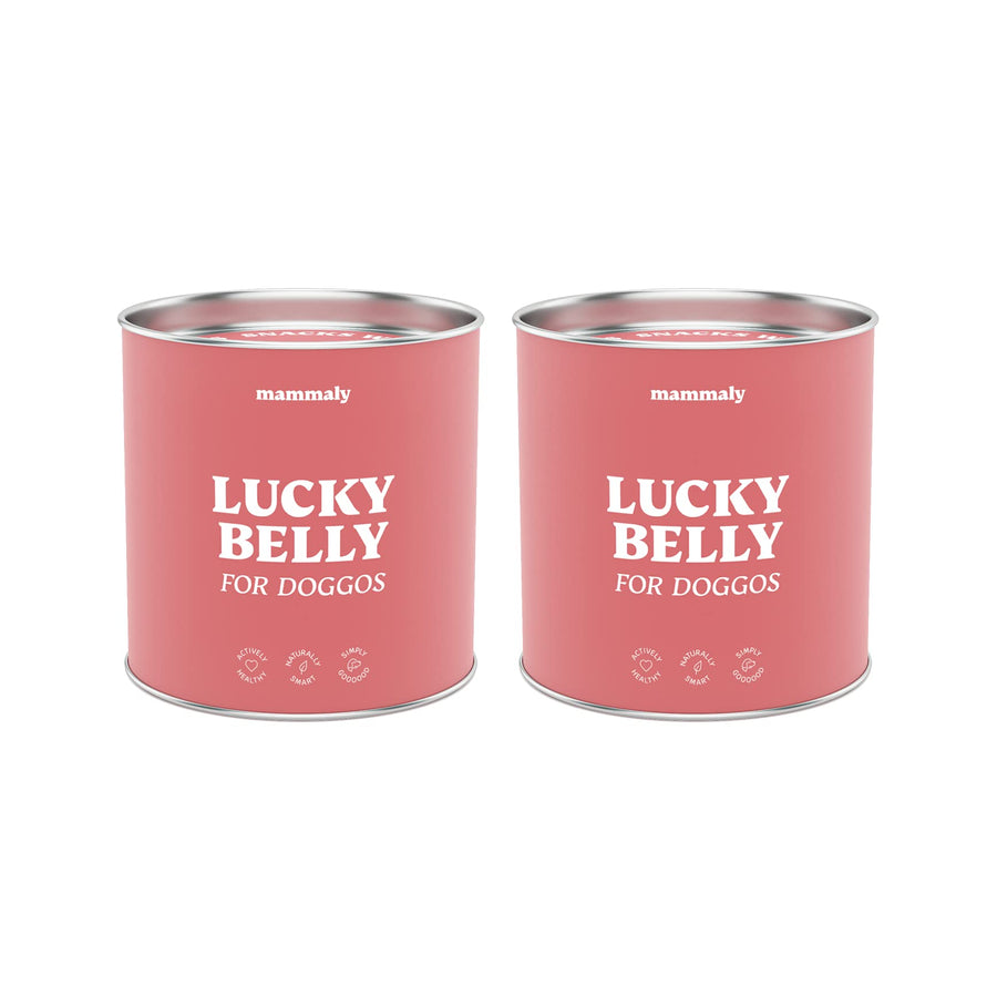 mammaly Lucky Belly für Hunde Verdauungssnacks mit Probiotika Hund, He –  techstudio.ch