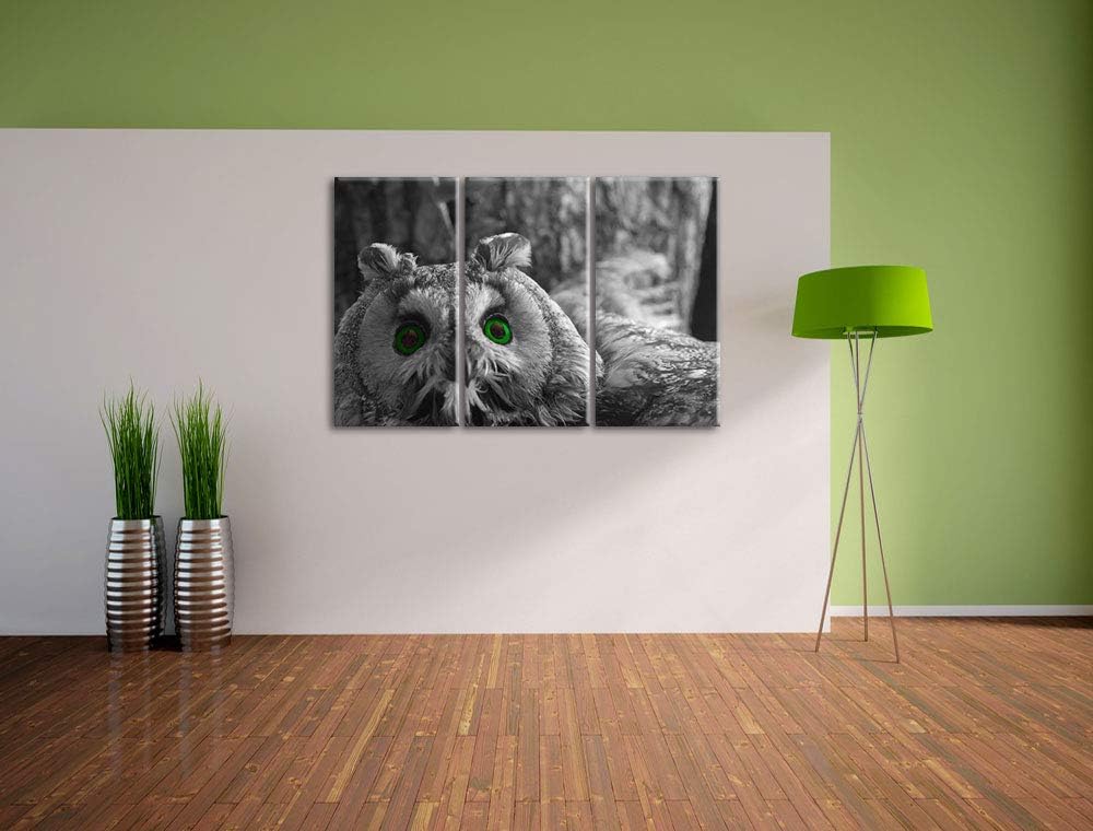 Niedliche Eule mit Grünen Augen schwarz/weiss 3-Teiler Leinwandbild 120x80 Bild auf Leinwand, XXL ri