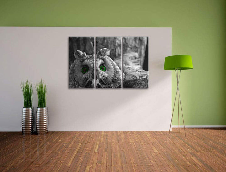 Niedliche Eule mit Grünen Augen schwarz/weiss 3-Teiler Leinwandbild 120x80 Bild auf Leinwand, XXL ri