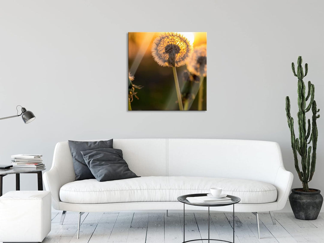 Pixxprint Glasbild | Wandbild auf Echtglas | Pusteblume | 50x50 cm | inkl. Aufhängung und Abstandsha