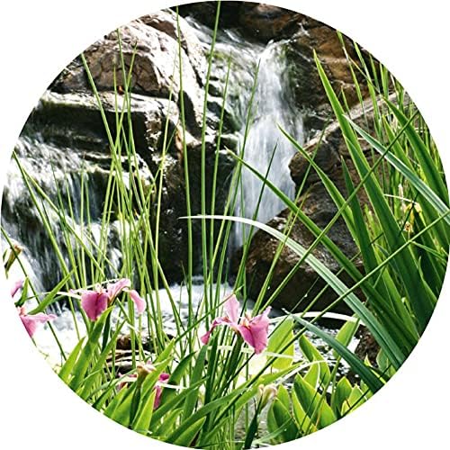 FIAP AQUA ACTIVE ProPower 15.000 - Schwimmteichpumpe - Umwälzpumpe - Filterpumpe - Poolpumpe - Schwi