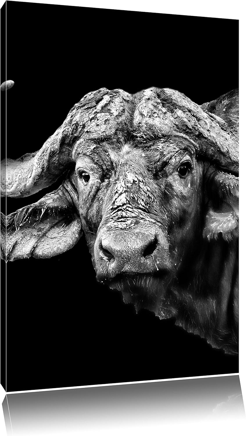 Pixxprint Dark Wasserbüffel als Leinwandbild | Grösse: 100x70 cm | Wandbild | Kunstdruck | fertig be