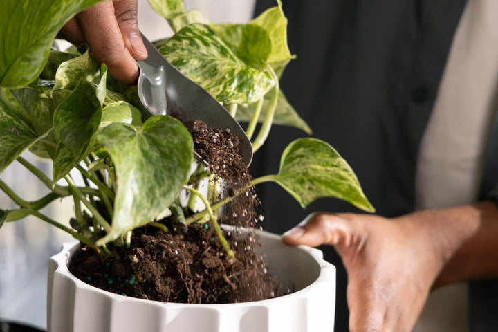 Fiskars Urban Plant Care Pflanzwerkzeuge Set, 3-TLG, Basic-Kit für die Pflanzenpflege, Platzsparende