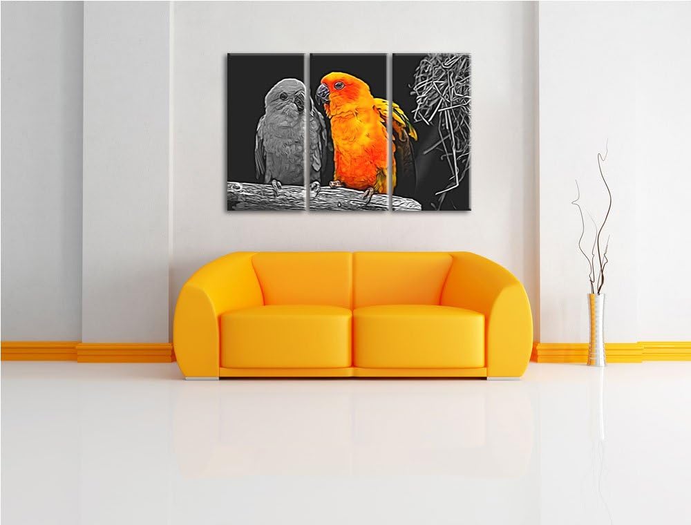 Dark zwei hübsche Sonnensittiche schwarz/weiss Spezial 3-Teiler Leinwandbild 120x80 Bild auf Leinwan