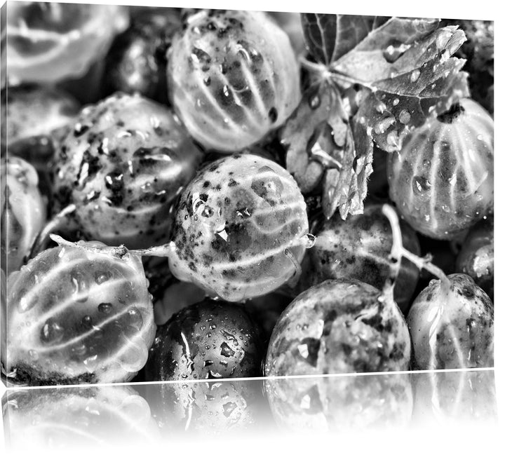Pixxprint Monocrome, Leckere Stachelbeeren, Format: 100x70 auf Leinwand, riesige Bilder fertig gerah
