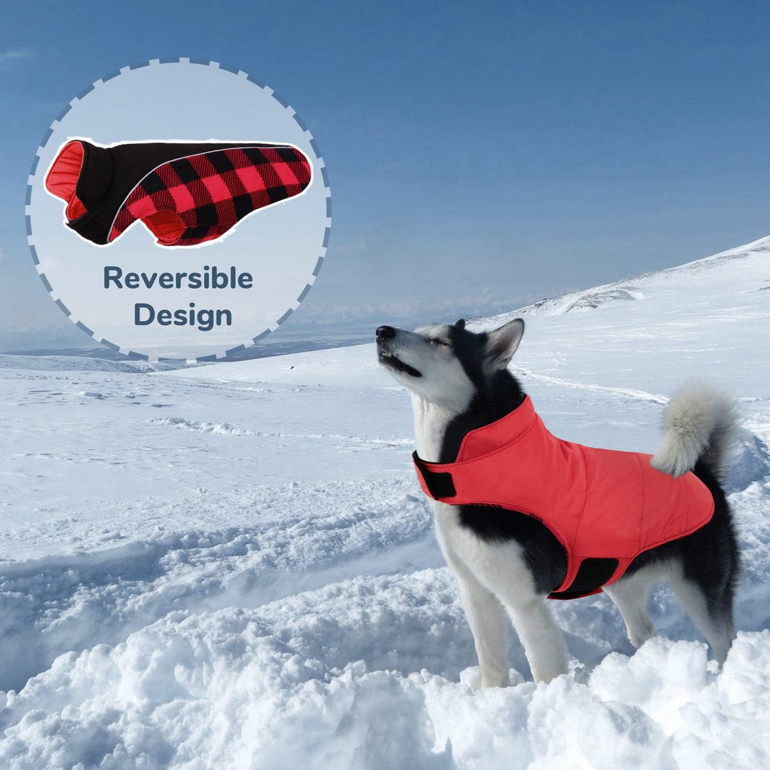 Warme Hundemantel Winter, Hundemantel mit Bauchschutz, Wintermantel für Hunde mit Reflektierend, Wen