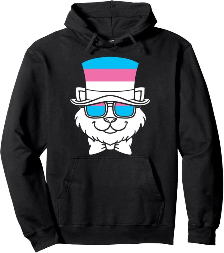 Transgender Katze Trans Pride LGBT Geschenk Transsexuell Pullover Hoodie