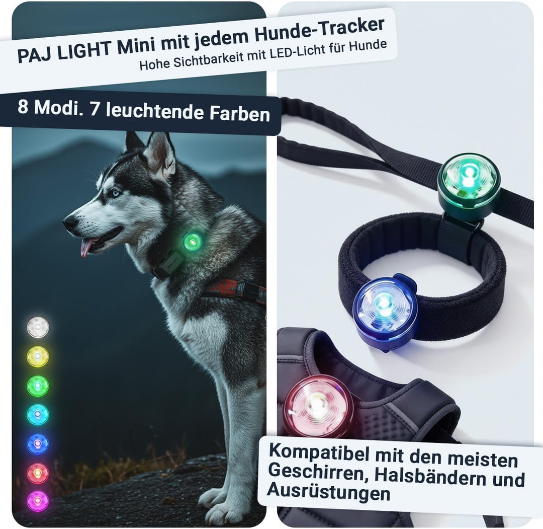 PAJ GPS Tracker 4G Mini für Hunde - inkl. 3 Monate Premium Zugang + MINI LED-Licht, Weglaufalarm+Hun