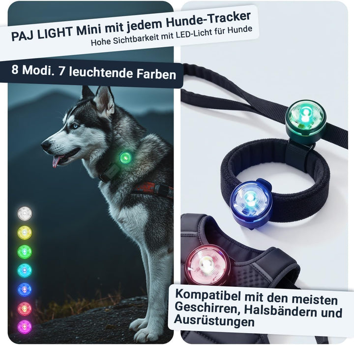 PAJ GPS Tracker 4G Mini für Hunde - inkl. 3 Monate Premium Zugang + MINI LED-Licht, Weglaufalarm+Hun