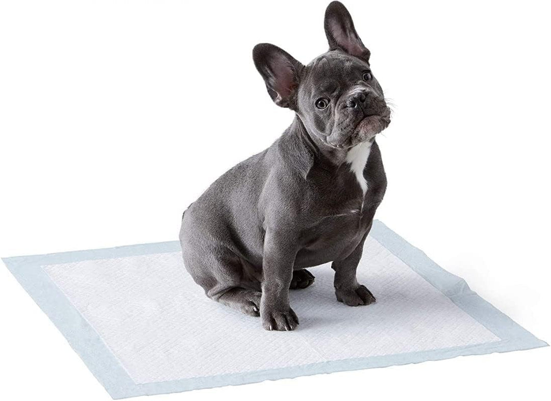 LPM - 120 stück 60 x 40 cm Hygieneunterlagen für Haustiere - ultra saugfähig