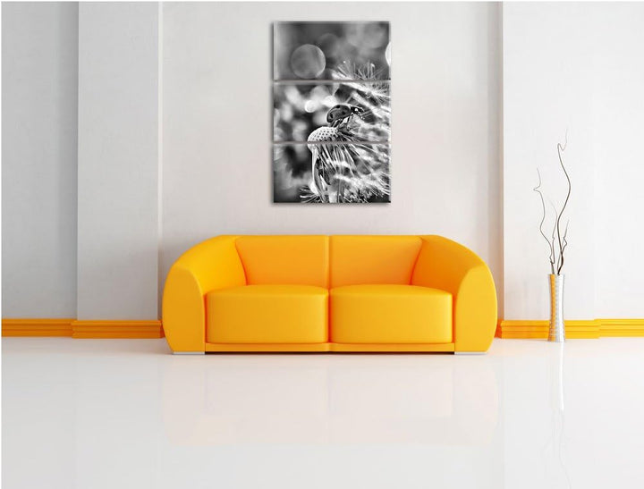 Pixxprint Monocrome, Marienkäfer auf Pusteblume als Leinwandbild 3 teilig/Grösse: 3 Teilig (120x80)