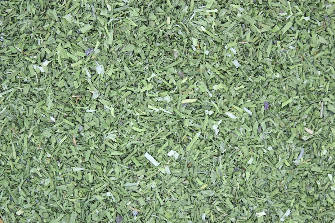 1000Kräuter Schnittlauch Röhrenschnitt geschnitten Salatkräuter Küchenkräuter Suppengewürz Allium sc