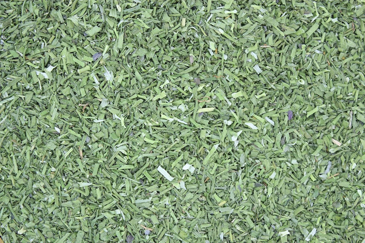 1000Kräuter Schnittlauch Röhrenschnitt geschnitten Salatkräuter Küchenkräuter Suppengewürz Allium sc