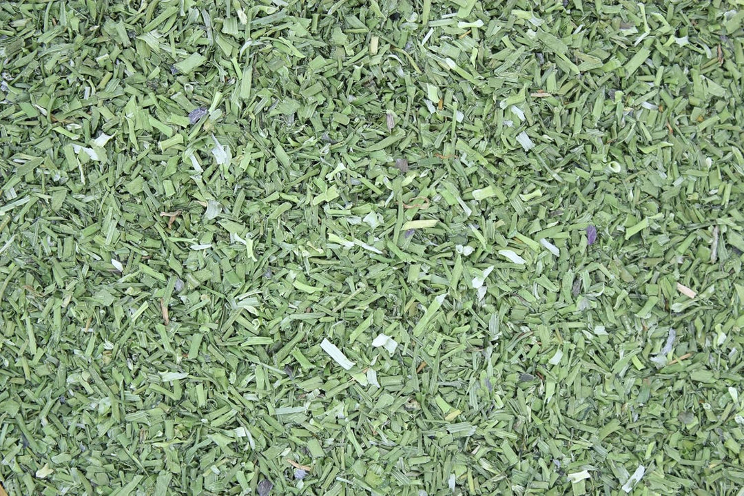 1000Kräuter Schnittlauch Röhrenschnitt geschnitten Salatkräuter Küchenkräuter Suppengewürz Allium sc