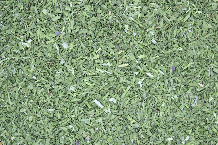 1000Kräuter Schnittlauch Röhrenschnitt geschnitten Salatkräuter Küchenkräuter Suppengewürz Allium sc