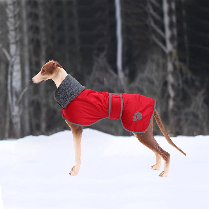 Geyecete Hunde Wintermäntel fur Windhund,Hundejacken mit plüschfutter,Wasserdichter Regenmantel Wind