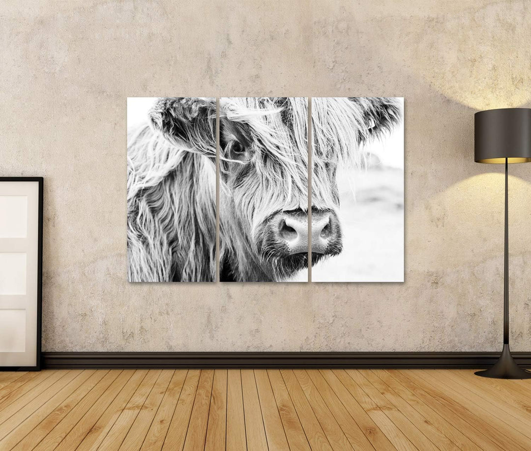 islandburner Bild Bilder auf Leinwand Schottische Kuh im grünen Gras, Wandbild Poster Leinwandbild U