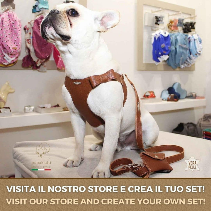 PUPAKIOTTI Basic Hundeleine | Kleine und mittlere Hundeleine | Echtes Leder in Italien | Hundeleine