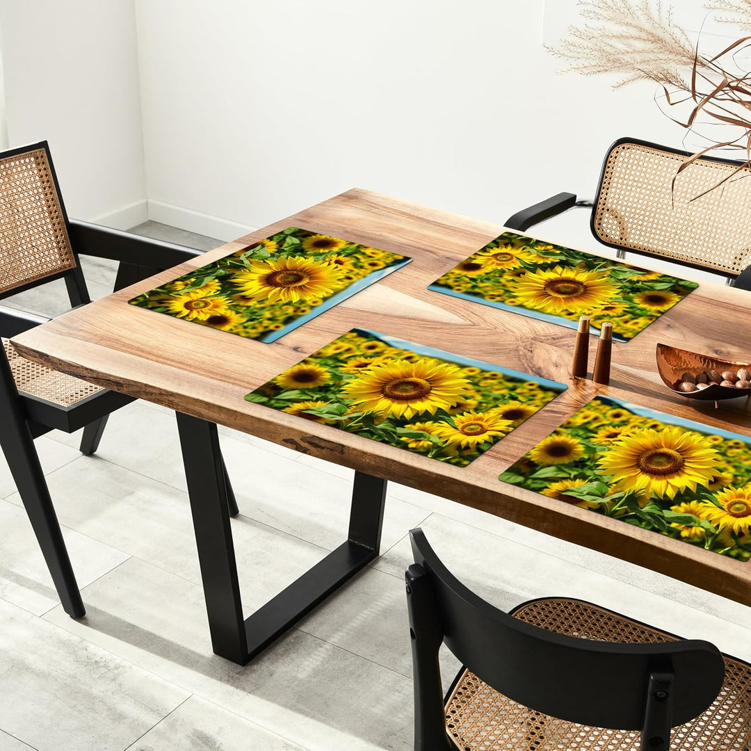 KitchenYeah© Platzsets Abwaschbar 6-Teilig 45x30 cm Tischsets Platzdeckchen Platzset Unterlage Tisch