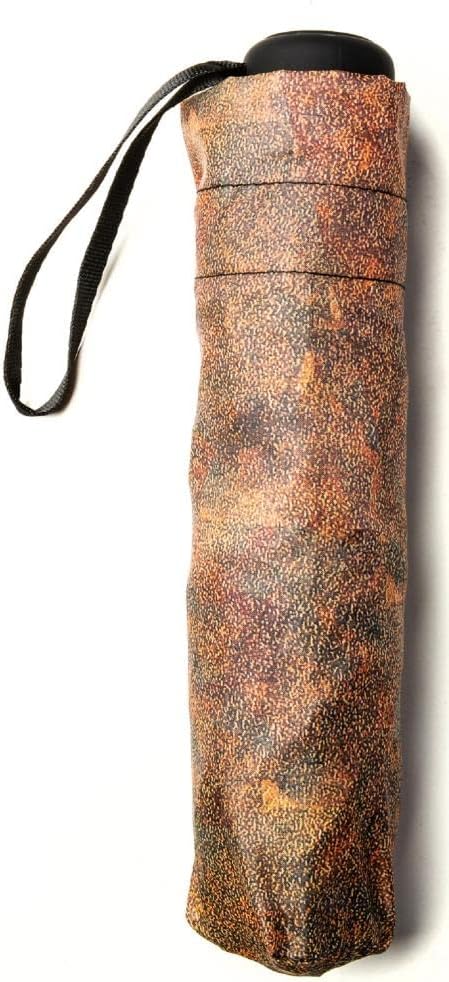 LUCKYWEATHER Regenschirm Taschenschirm Mini Damen Motiv Klimt The Kiss I Taschenschirme klein und st