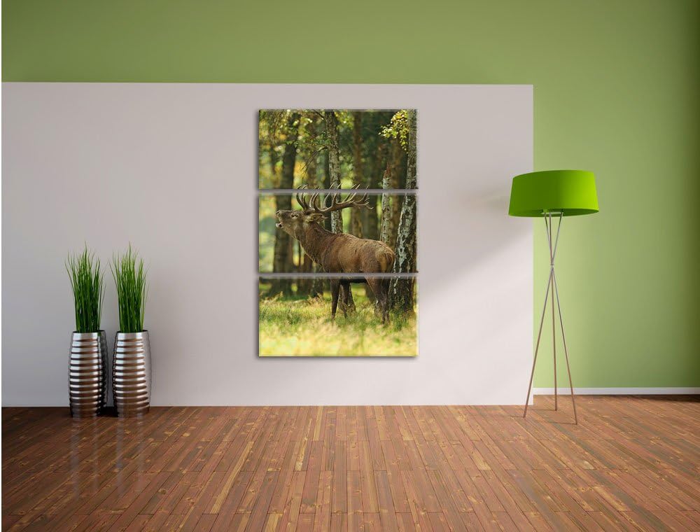 Pixxprint Hirsch im Wald 3-Teiler Leinwandbild 120x80 Bild auf Leinwand
