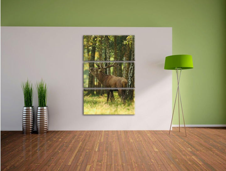 Pixxprint Hirsch im Wald 3-Teiler Leinwandbild 120x80 Bild auf Leinwand